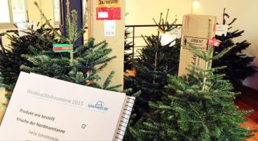 Sparwelt.de Weihnachtsbaum-Test 2015