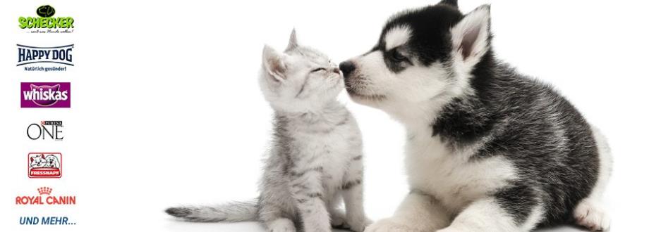 GRATIS: Futterproben für Hunde und Katzen