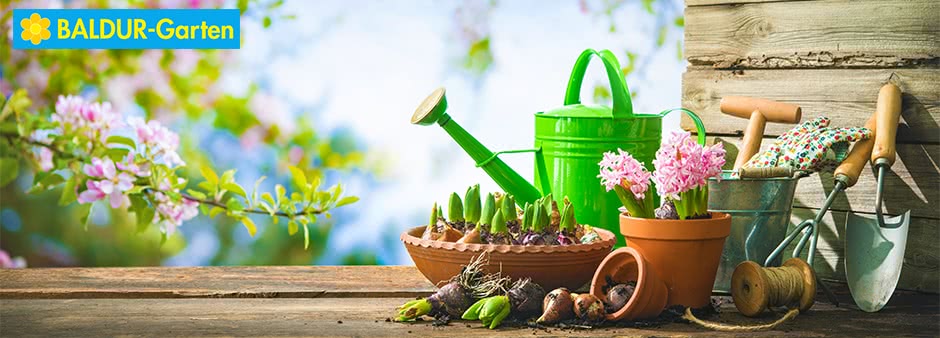 Pflanzenpracht mit Rabatt: 10%-Gutschein bei Baldur-Garten